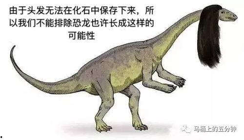 有网友爆料恐龙的视频吗,恐龙重现人间？网友热议神秘恐龙视频